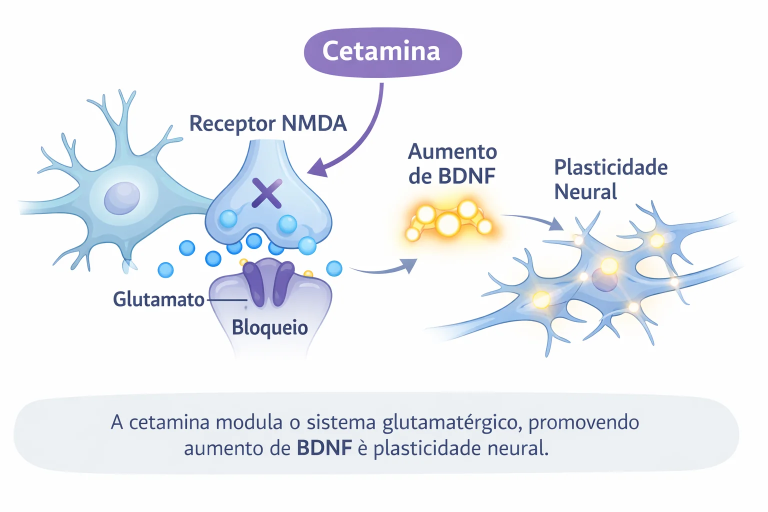 Mecanismo de ação da cetamina - Receptor NMDA, bloqueio de glutamato, aumento de BDNF e plasticidade neural